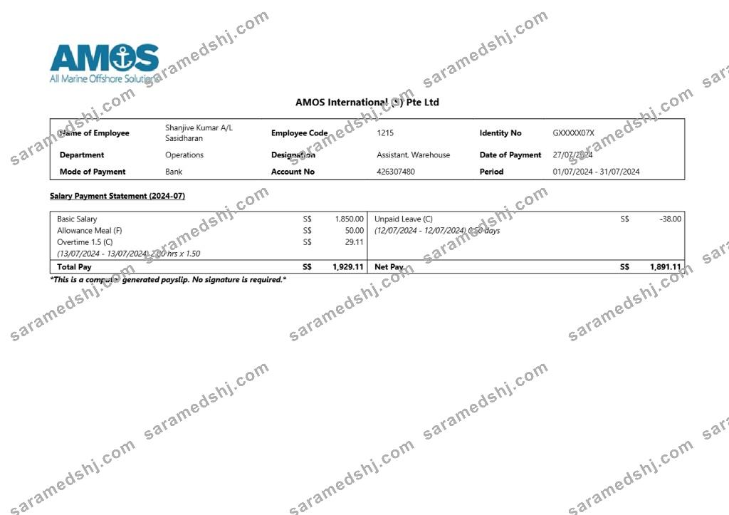 AMOS International earnings summary template in Word and PDF formats.pdf, 1